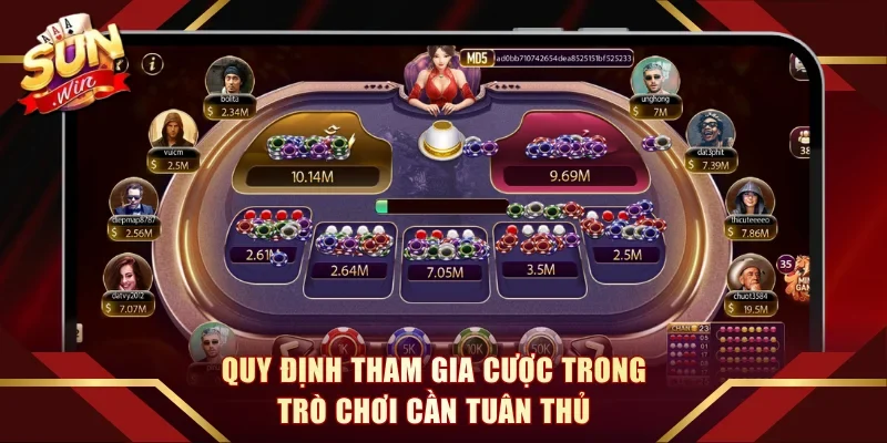 Quy định tham gia cược trong trò chơi cần tuân thủ